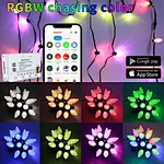 c9 led christmas lights set